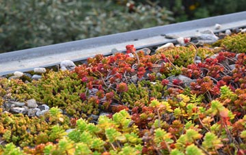 the cost of Eworthy green roof installation