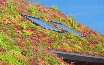 Eworthy living roof systems