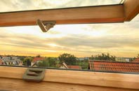 rated Eworthy roof window companies